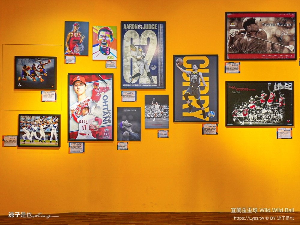 宜蘭歪歪球 門票票價 優惠 真人彈珠檯 創意球類運動 宜蘭室內景點 親子景點 蘇澳景點 停留時間 Wild Wild Ball