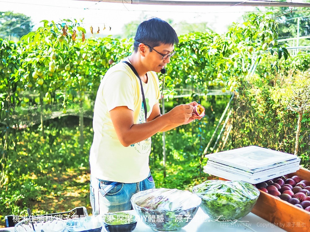 桃米生態村 親子景點 嘉寶果 採果 diy體驗
