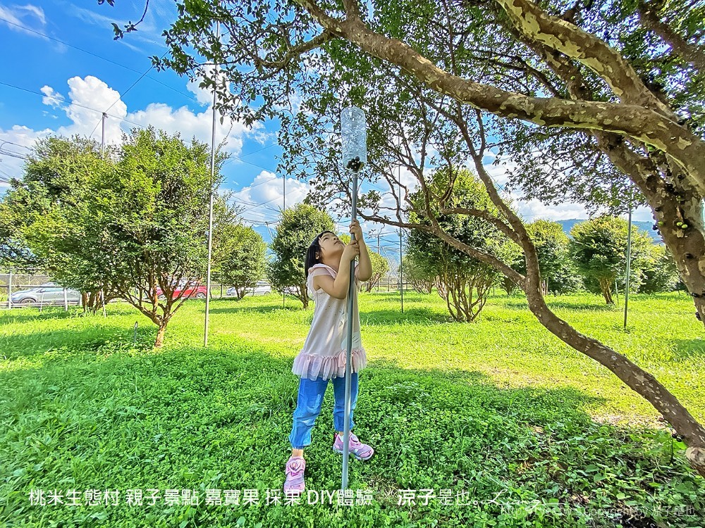 桃米生態村 南投埔里 親子景點 嘉寶果 採果 diy體驗