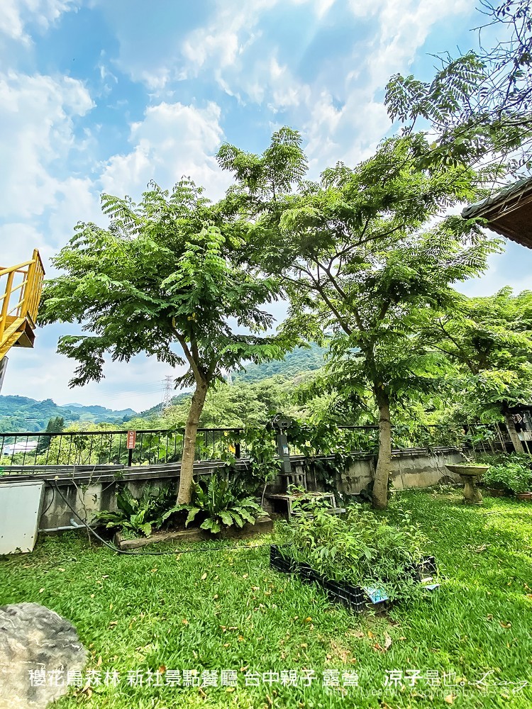 新社景點-櫻花鳥森林 迷你小火車x溜滑梯戲水區x鸚鵡放飛秀x露營 不止花好拍 親子旅遊也好玩！