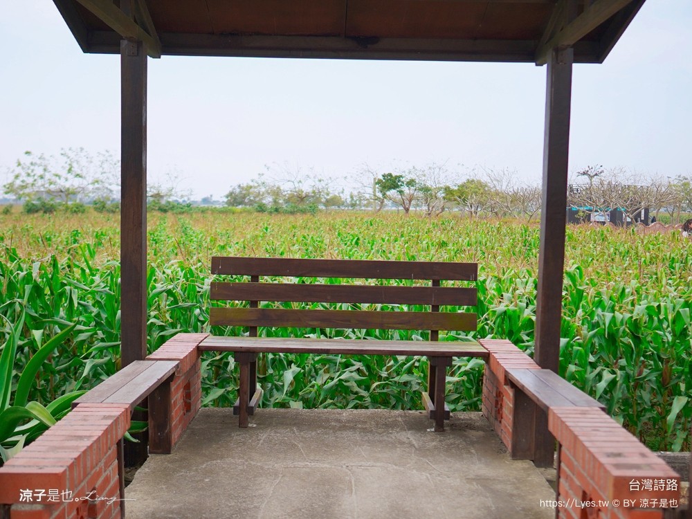 台灣詩路 台南 鹽水景點 免門票 景點推薦 預約制餐廳 木綿花 台南鹽水文學步道 台南 鹽水景點 免門票 景點推薦 預約制餐廳 木綿花 台南鹽水 文學步道