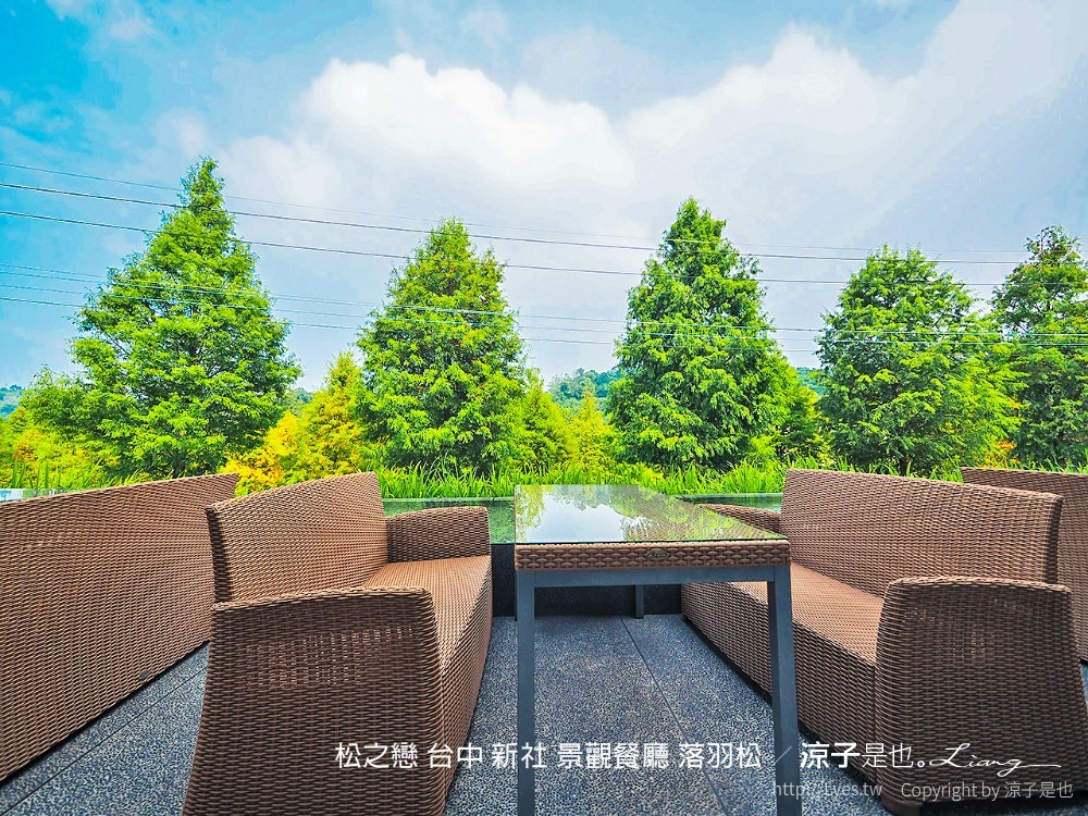 松之戀 台中 新社 景觀餐廳 落羽松