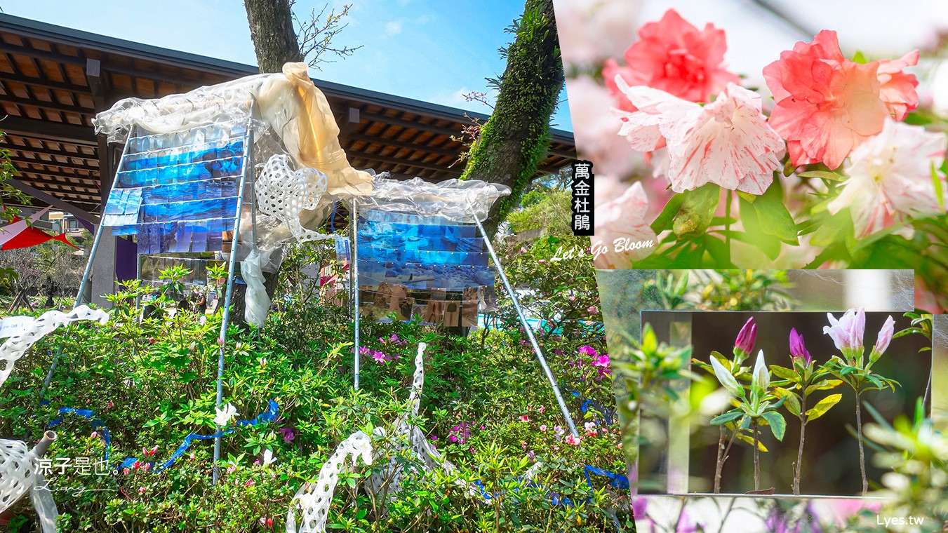萬金杜鵑花展2025 金山中山溫泉公園 新北景點 北海岸活動 交通 展期 花藝造景 打卡必拍 懶人包