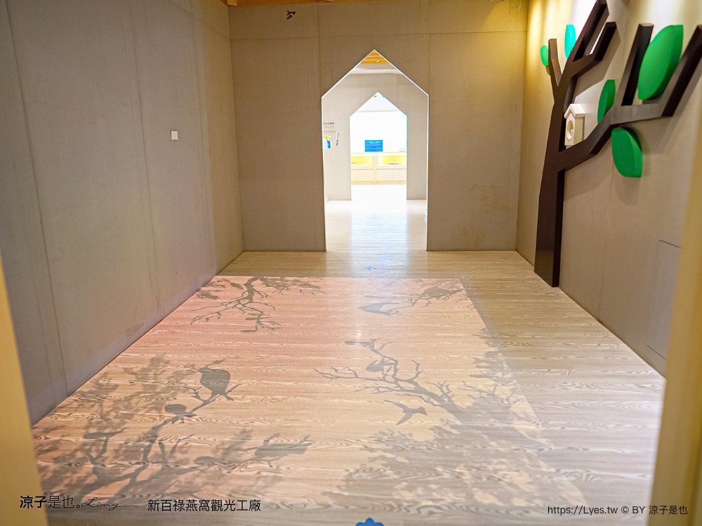 新百祿燕窩觀光工廠 免門票 台南景點 親子景點 燕窩DIY 台南伴手禮 互動體驗 新百祿燕窩評價