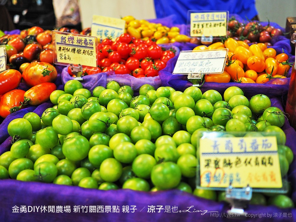 金勇DIY休閒農場 新竹關西景點 親子