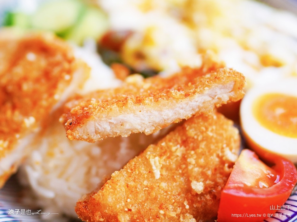 山上山下 菜單 南投埔里美食 山上山下咖哩飯專賣店 桃米村 唐揚雞 炸豬排 唐揚雞 炸豬排