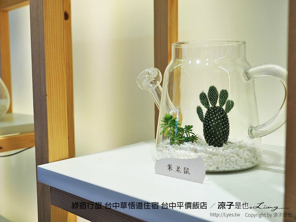 綠宿行旅 台中草悟道住宿 台中平價飯店