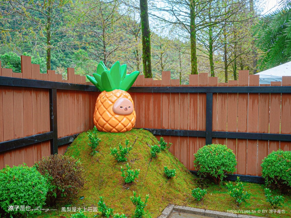 鳳梨屋水上莊園 宜蘭景點 一日遊 鳳梨屋門票 戲水池 動物園 水豚君 網美景點 水簾鞦韆 鳳梨泳池 餵羊 宜蘭豪華懶人露營 Villa 網美景點