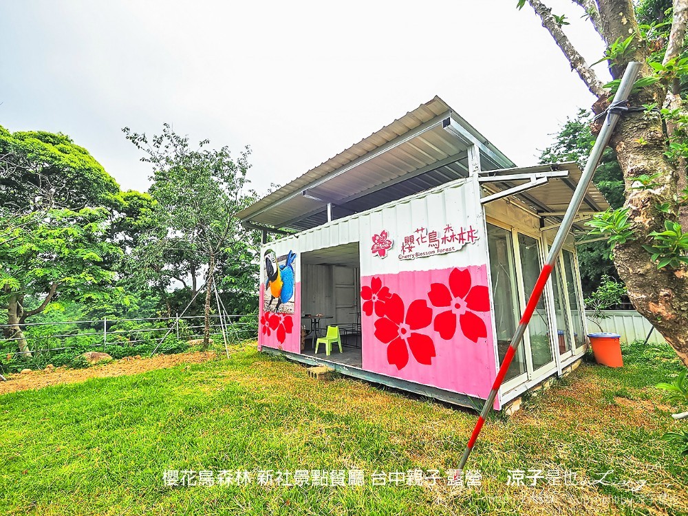 新社景點-櫻花鳥森林 迷你小火車x溜滑梯戲水區x鸚鵡放飛秀x露營 不止花好拍 親子旅遊也好玩！