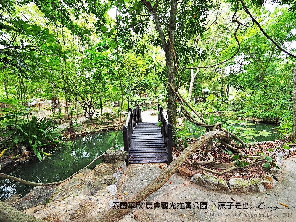 泰國華欣 農業觀光推廣公園