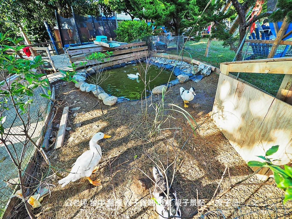 公老坪 台中 豐原 親子餐廳 夜景 親子景點