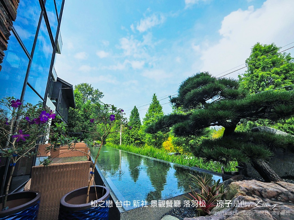 松之戀 台中 新社 景觀餐廳 落羽松