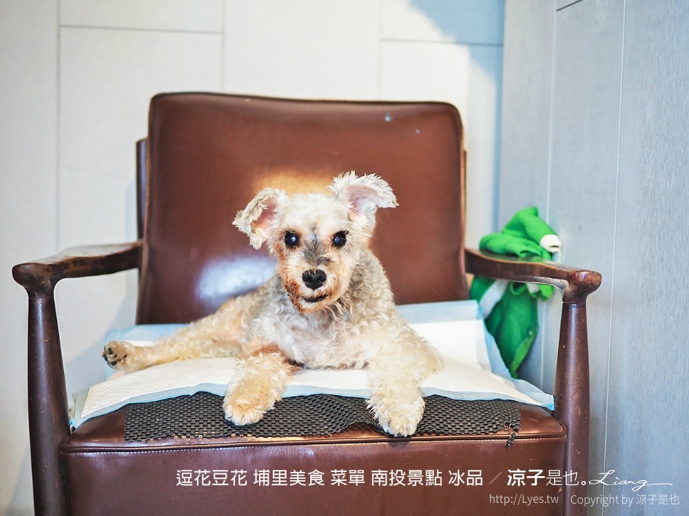 逗花豆花 埔里美食 菜單 南投景點 冰品