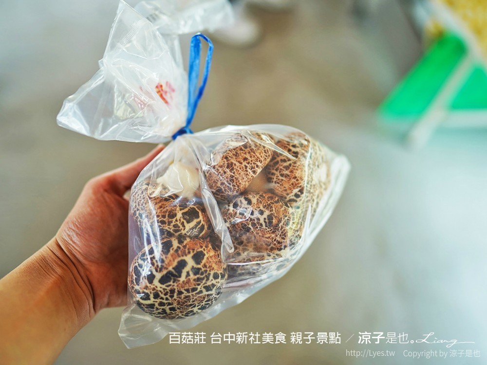 百菇莊 台中新社美食 親子景點