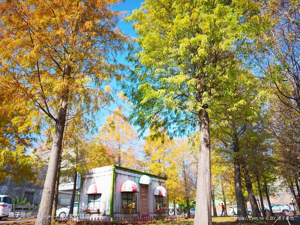 巫家捏麵館 彰化免費親子景點 小火車 泡腳 溪湖 落羽松景點 免門票 黏土 DIY
