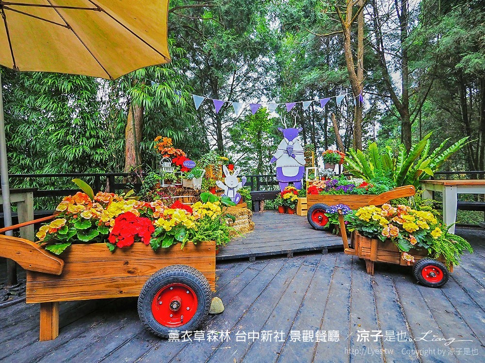 薰衣草森林 台中新社 景觀餐廳