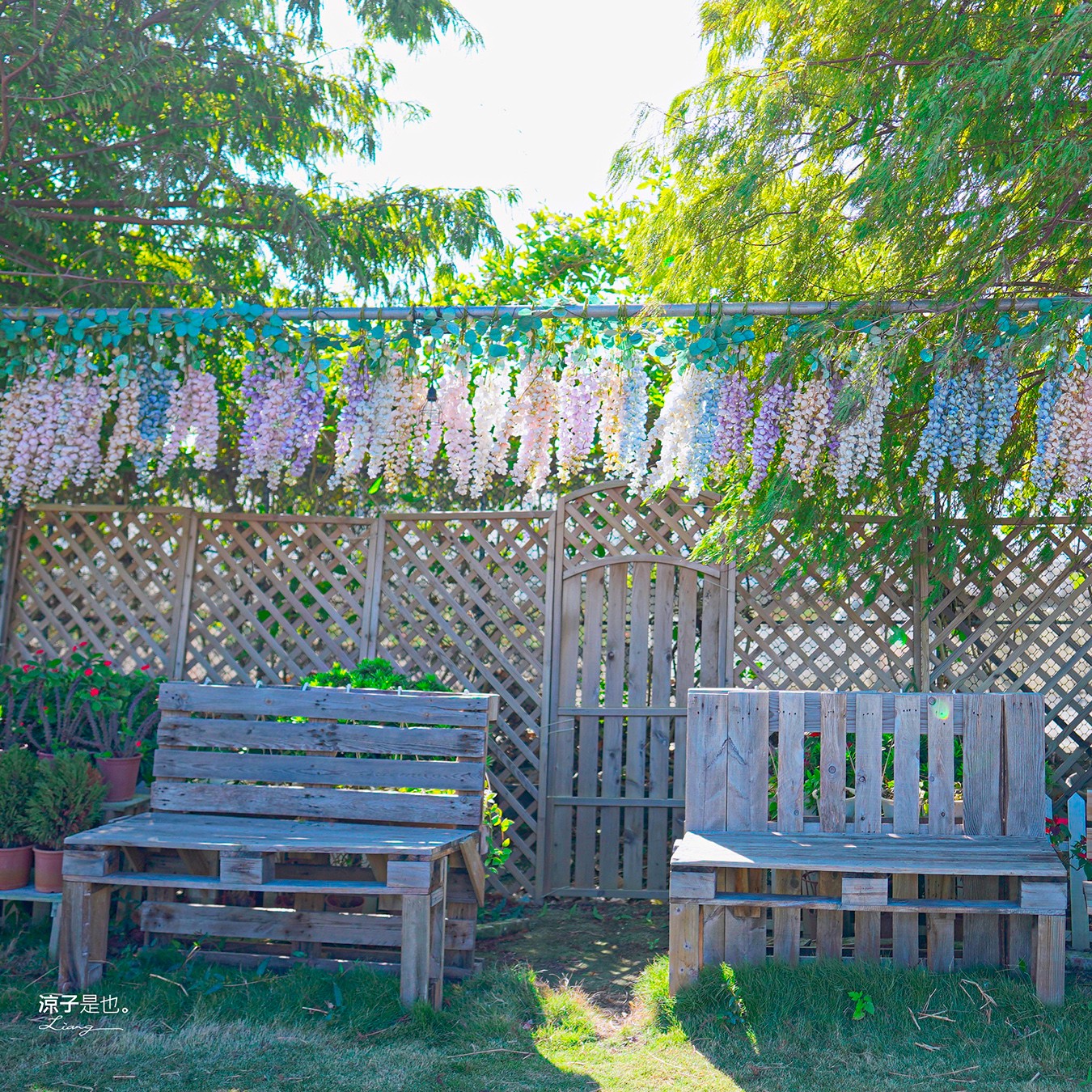 董家花田 菜單 門票 景點 彰化景點 田尾景觀餐廳 花海 戶外野餐 咖啡 交通