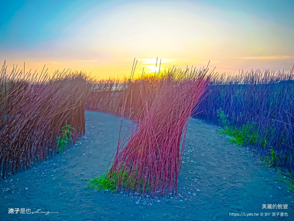 台南景點 七彩同心圓迷宮 ig打卡 開江紀 台江國家公園 鹿耳門 台南地景藝術 台江建庄二百年