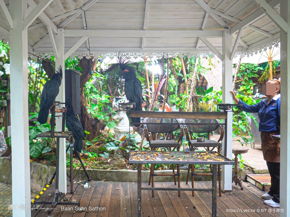 Baan Suan Sathon 泰國曼谷 森林系餐廳 推薦 泰式料理 網美風 交通 下午茶