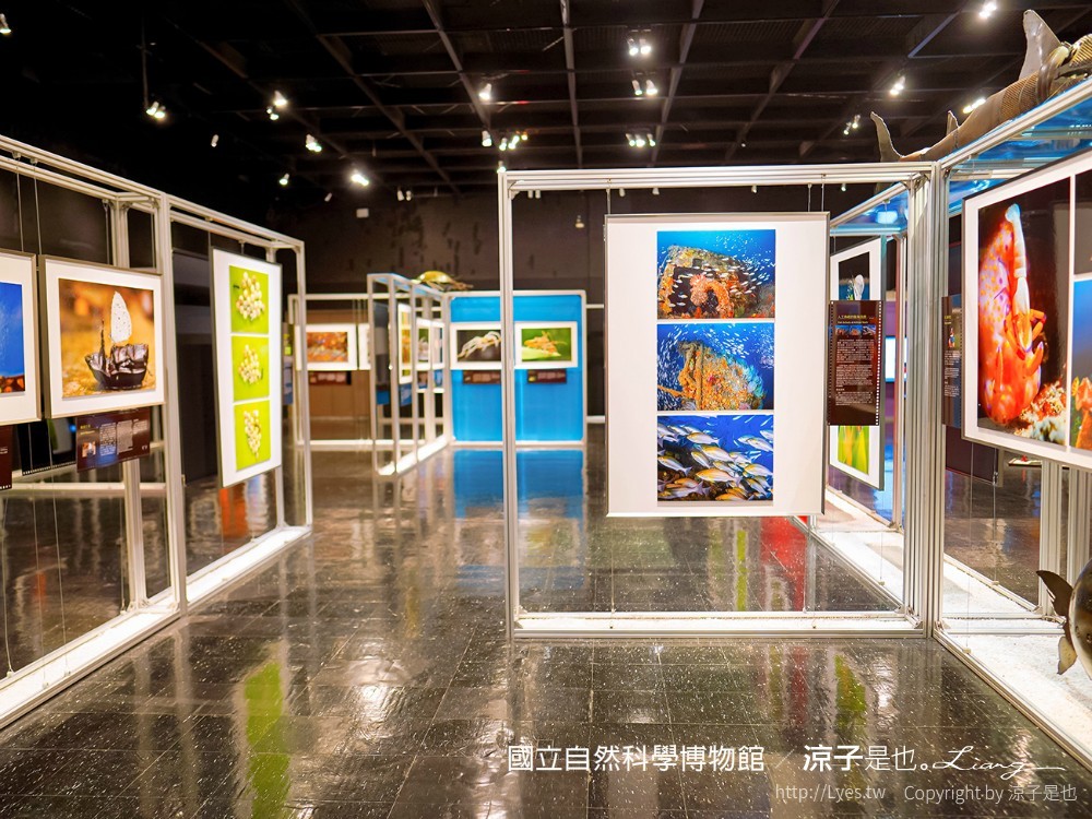 台中科博館 台中室內親子景點 國立自然科學博物館 線上購票 交通 美食 恐龍侏儸紀公園 iCoBo 手機app i科博