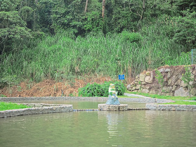 埔里景點 能高親水公園