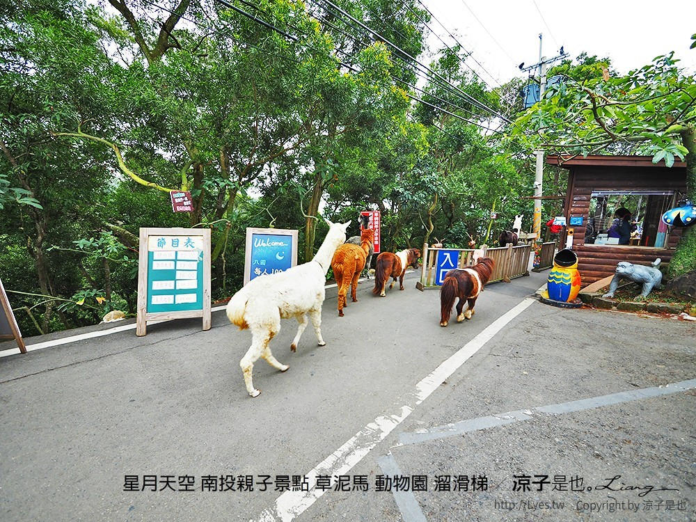 星月天空 南投親子景點 草泥馬 動物園 溜滑梯