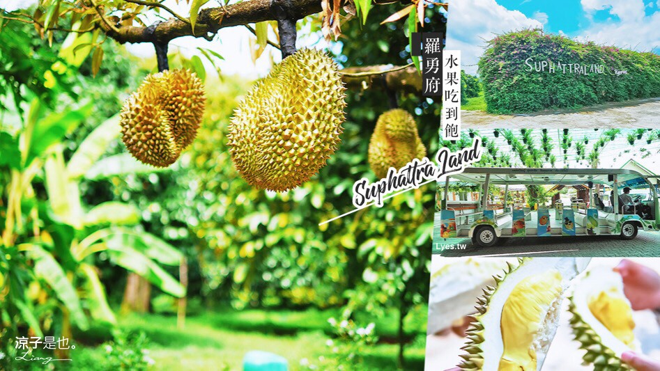 泰國-Suphattra Land 羅勇府水果吃到飽 素帕他觀光果園腹地超大的啊