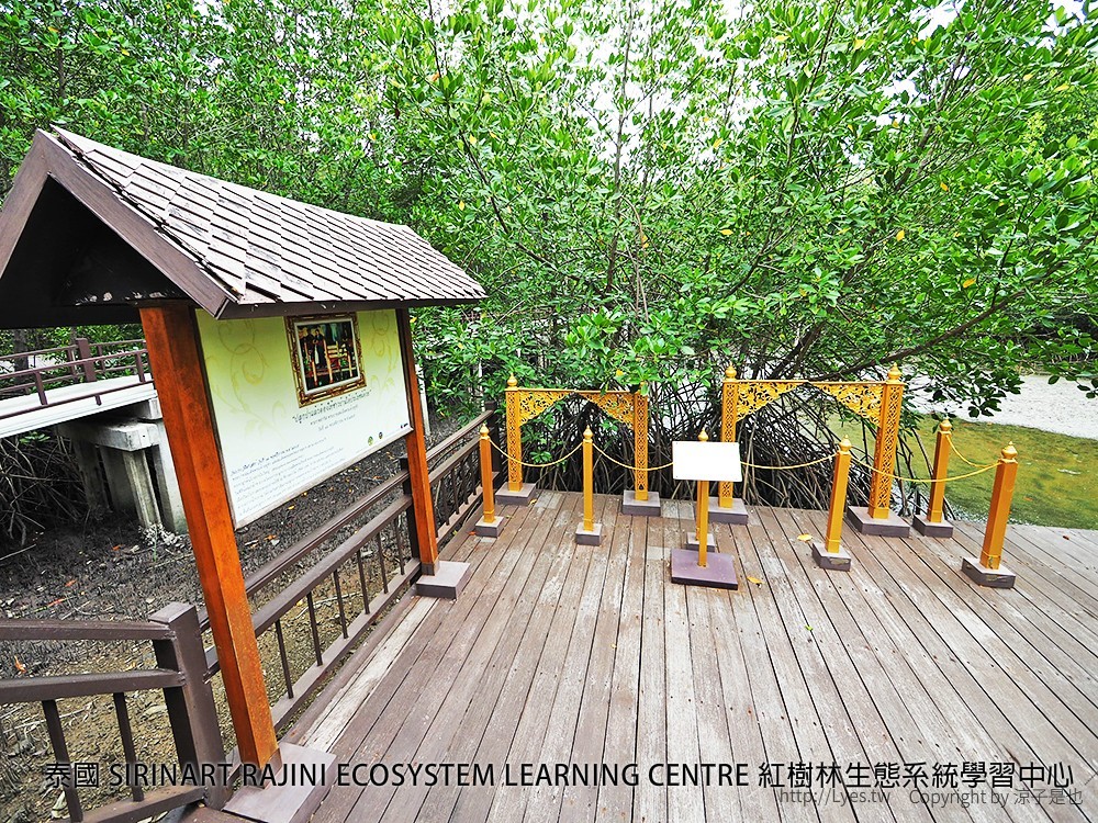泰國 SIRINART RAJINI ECOSYSTEM LEARNING CENTRE 紅樹林生態系統學習中心