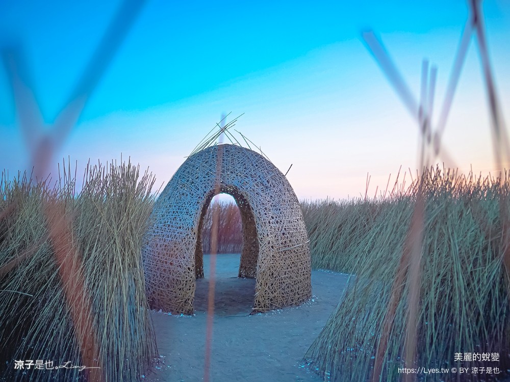 台南景點 七彩同心圓迷宮 ig打卡 開江紀 台江國家公園 鹿耳門 台南地景藝術 台江建庄二百年