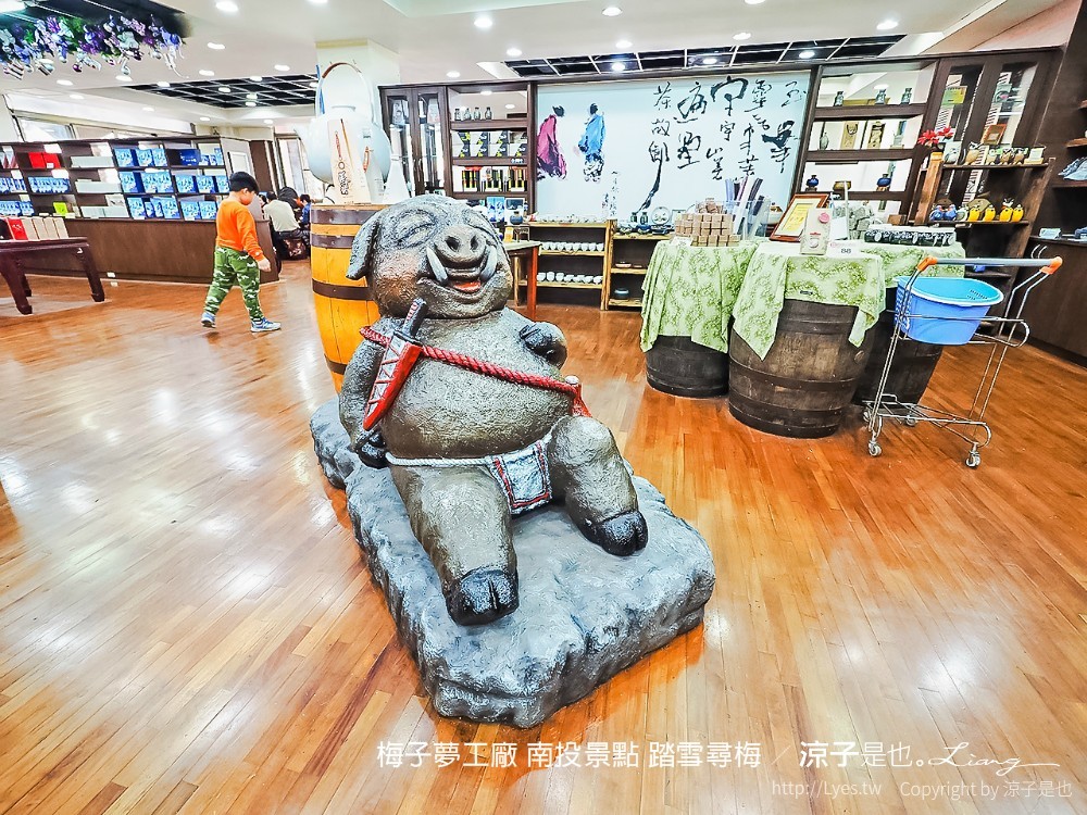 梅子夢工廠 南投景點 踏雪尋梅