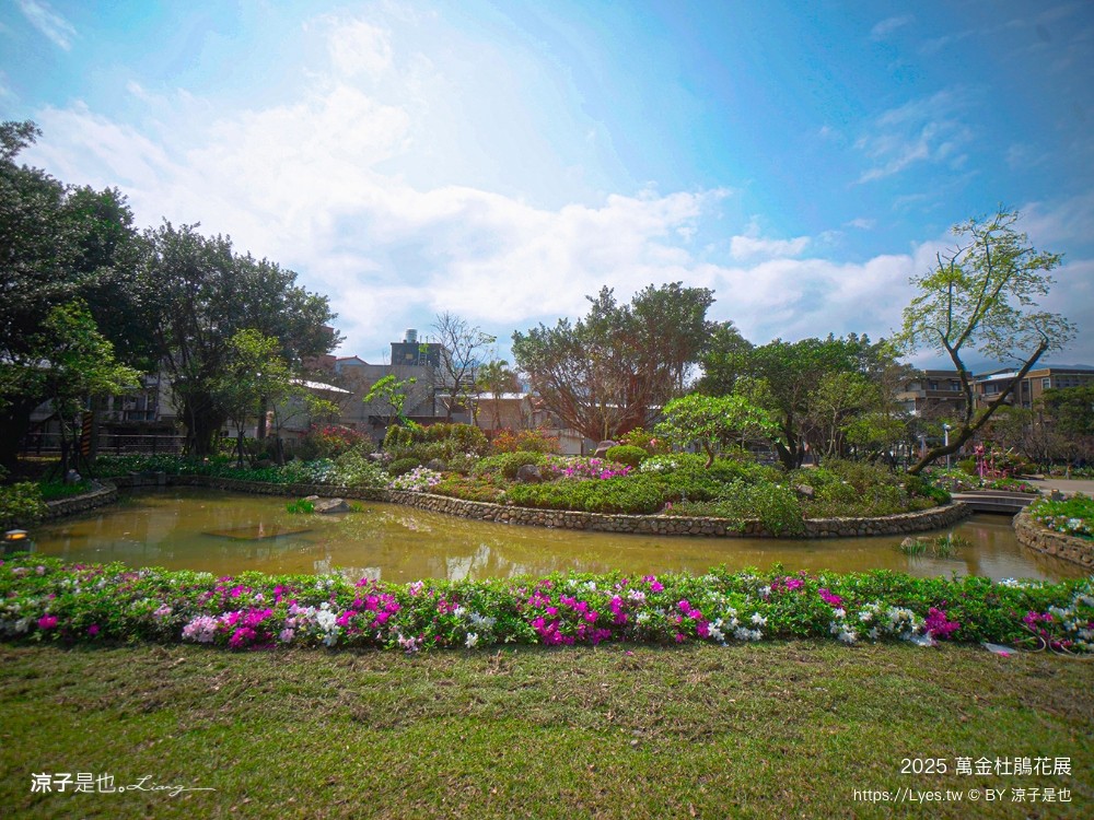 萬金杜鵑花展2025 金山中山溫泉公園 新北景點 北海岸活動 交通 展期 花藝造景 打卡必拍 懶人包