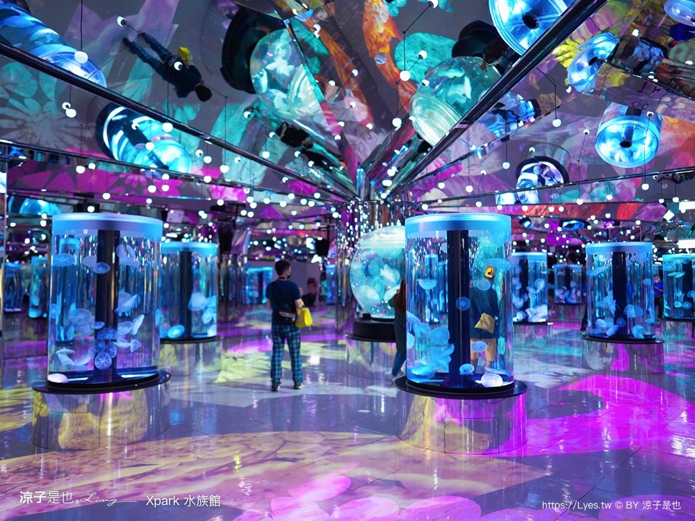 xpark水族館 門票優惠 桃園 親子景點 最新攻略 必看展區 美食餐廳 交通 停車 住宿