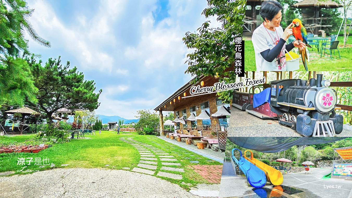 新社景點-櫻花鳥森林 迷你小火車x溜滑梯戲水區x鸚鵡放飛秀x露營 不止花好拍 親子旅遊也好玩!