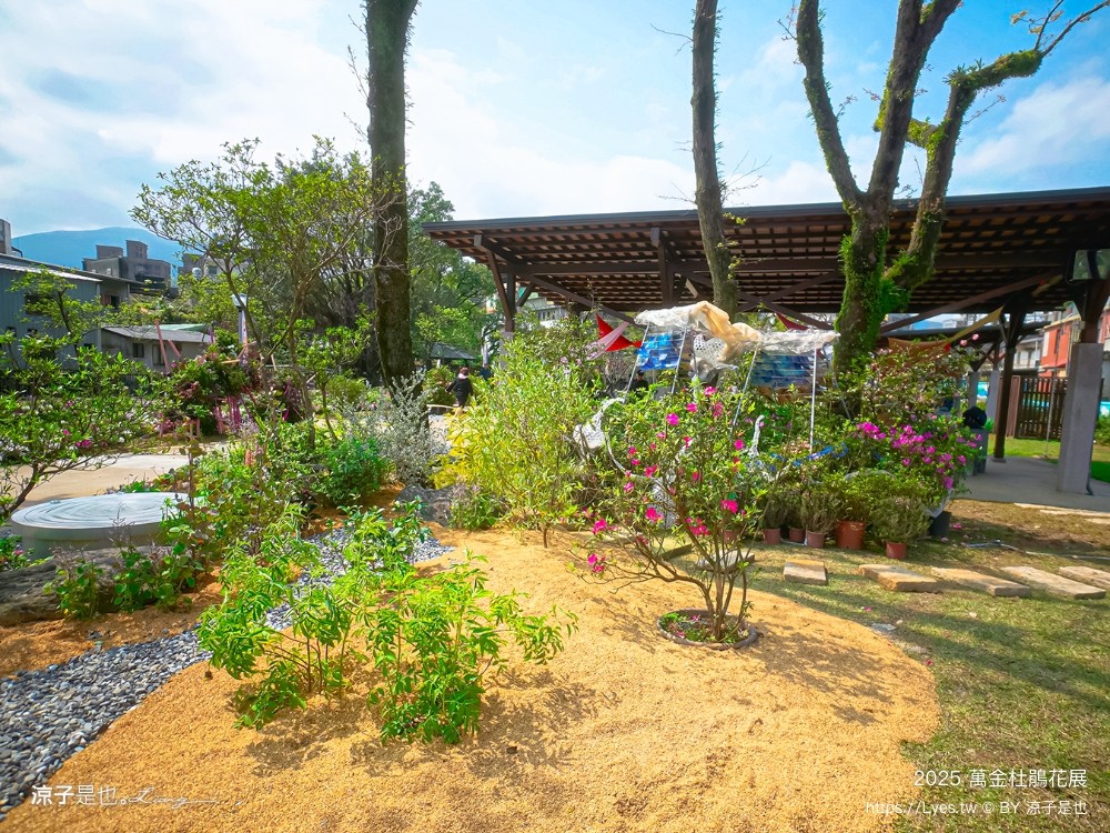 萬金杜鵑花展2025 金山中山溫泉公園 新北景點 北海岸活動 交通 展期 花藝造景 打卡必拍 懶人包