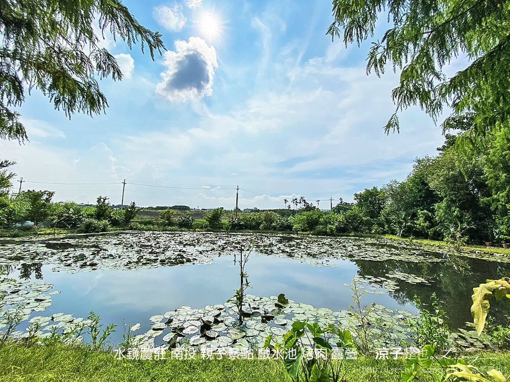 水鏡農莊 南投 親子景點 戲水池 烤肉 露營