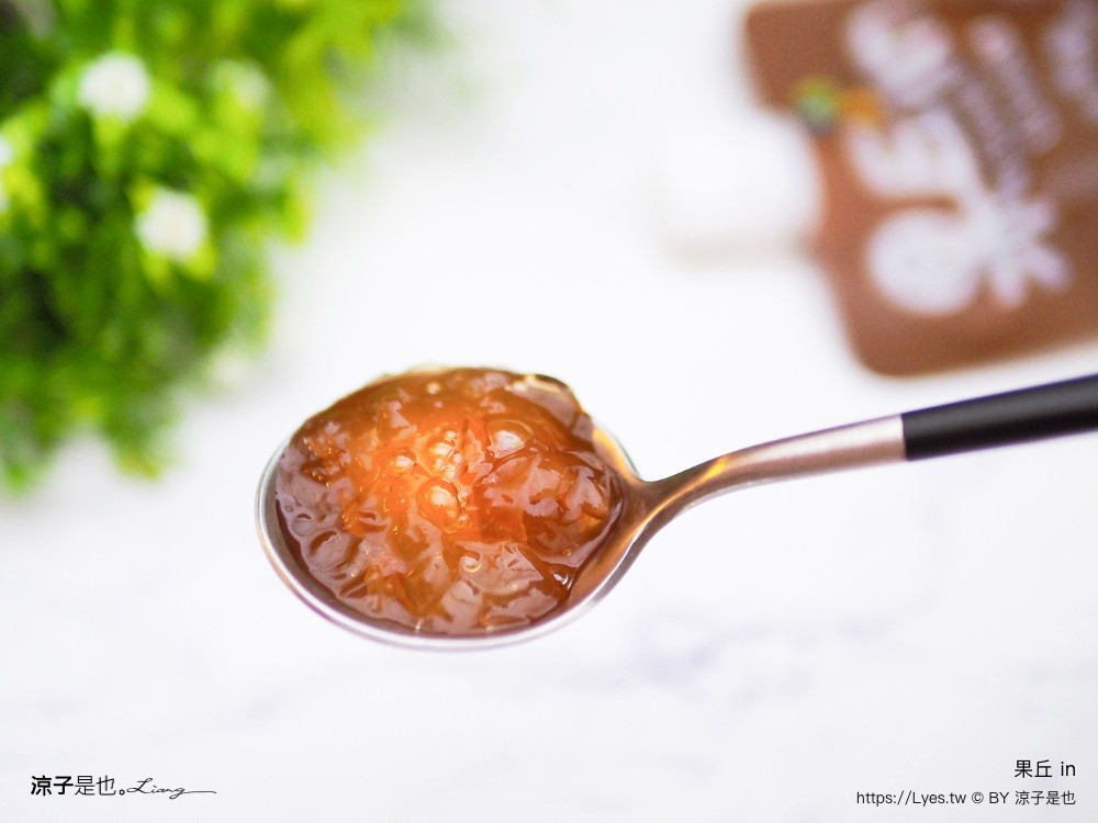 南投埔里 美食 埔里伴手禮 埔里必買 宅配美食 果丘in新品必買