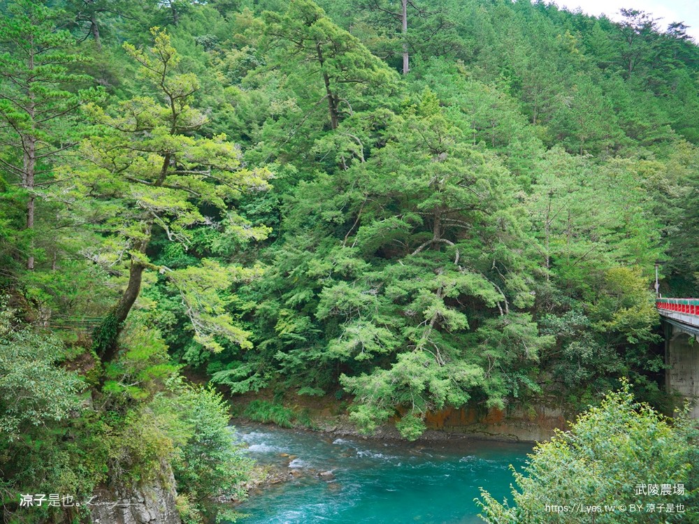 福壽山農場 民宿房型 住宿 露營 賞楓