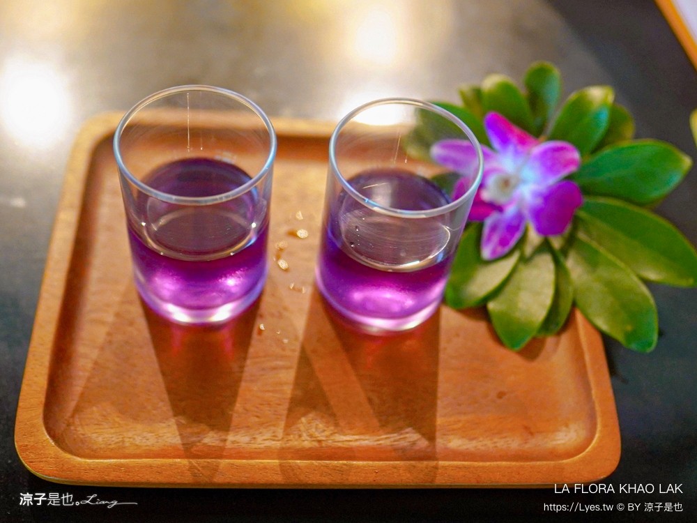 la flora khao lak 泰國攀牙 飯店推薦 泳池住宿 泰國五星級飯店 海景 沙灘 考拉 渡假村推薦