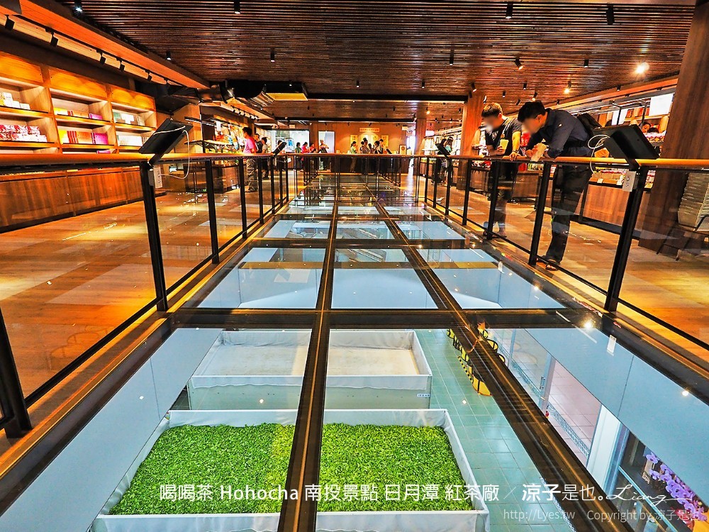 喝喝茶 hohocha 南投景點 日月潭 紅茶廠