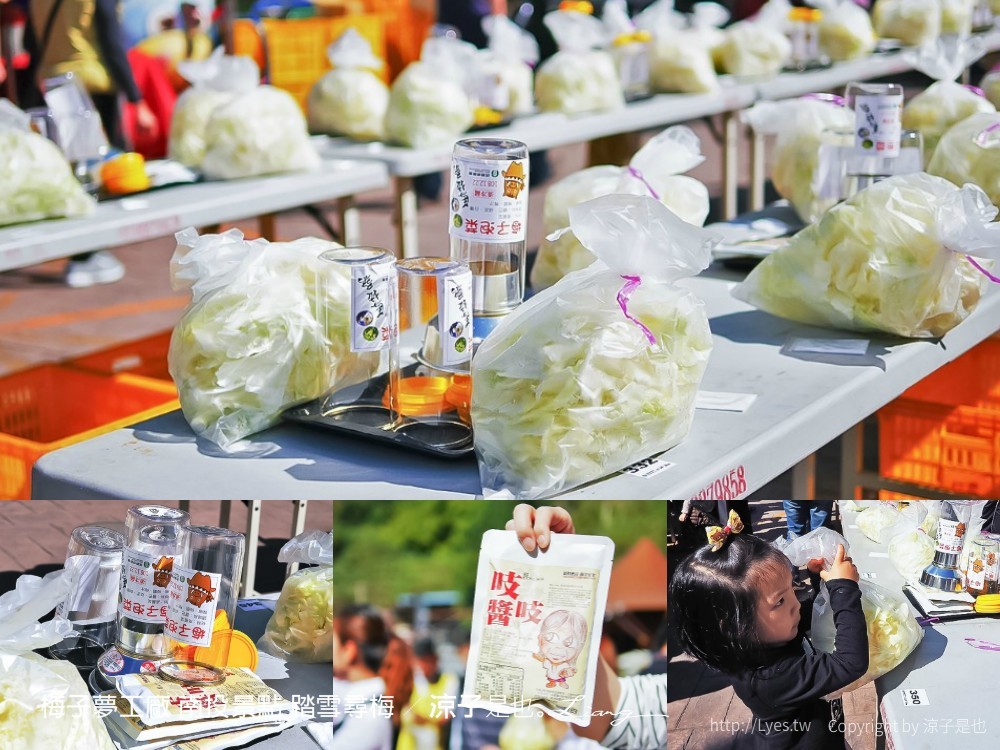 梅子夢工廠 南投景點 踏雪尋梅