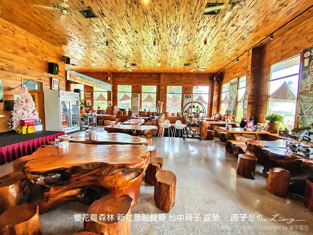 新社景點-櫻花鳥森林 迷你小火車x溜滑梯戲水區x鸚鵡放飛秀x露營 不止花好拍 親子旅遊也好玩！