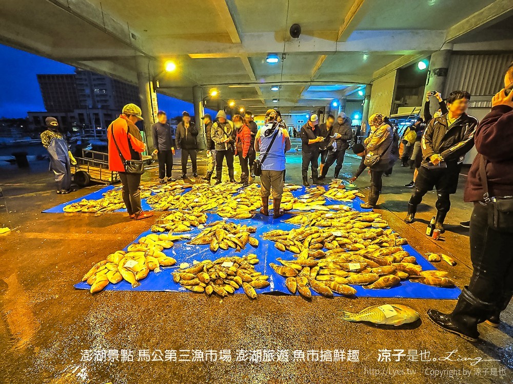 澎湖景點 馬公第三漁市場 澎湖旅遊 魚市搶鮮趣