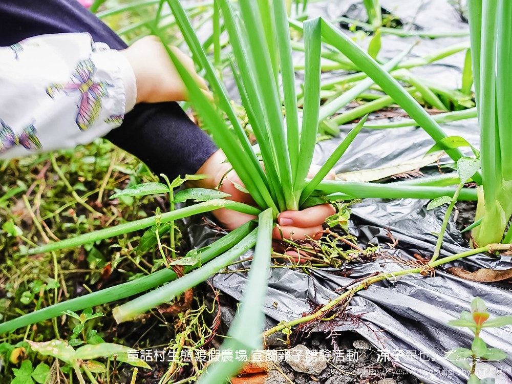 童話村生態渡假農場 宜蘭親子體驗活動