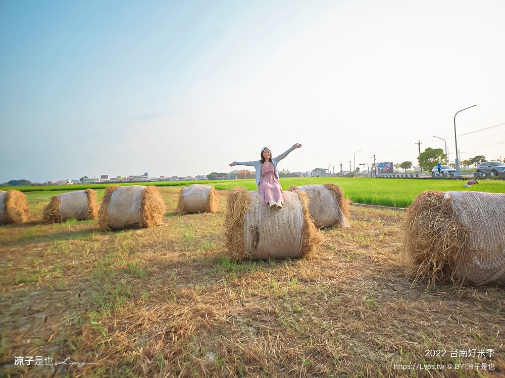2022台南好米季 台南後壁景點 稻田彩繪 貓貓蟲咖波 稻陣走健走活動 網美打卡 親子景點