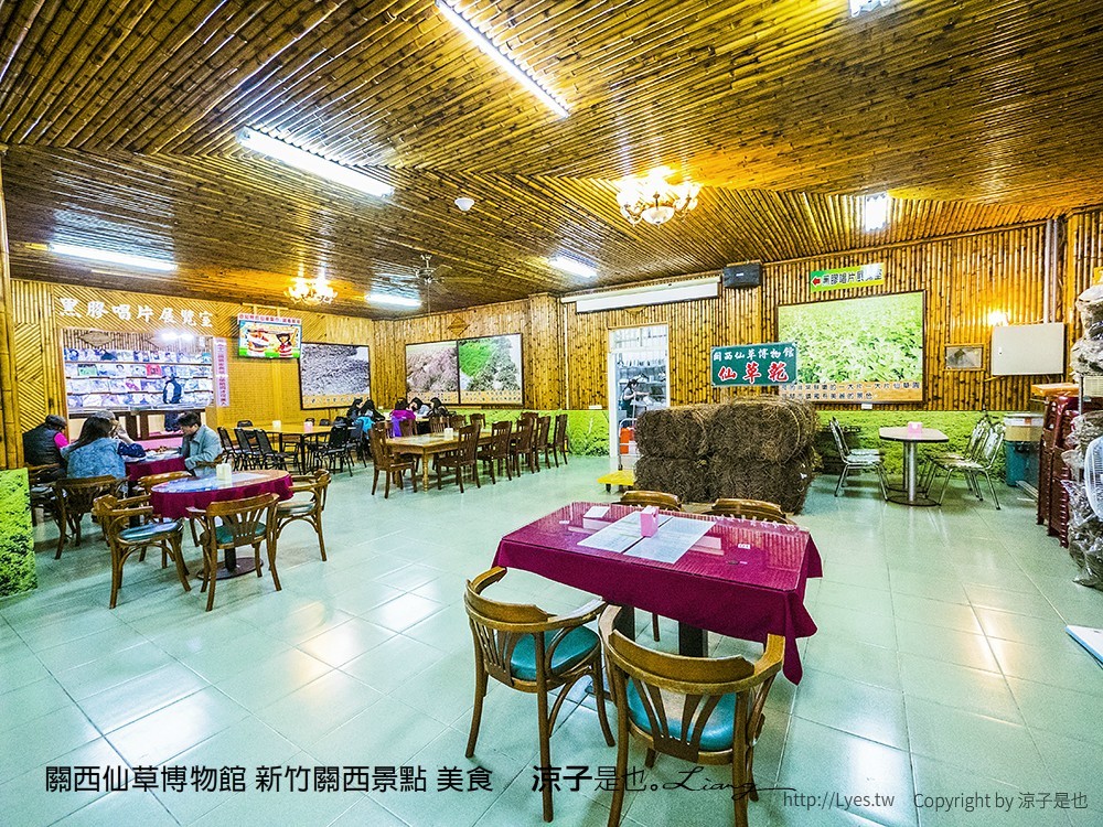 關西仙草博物館 新竹關西景點 美食