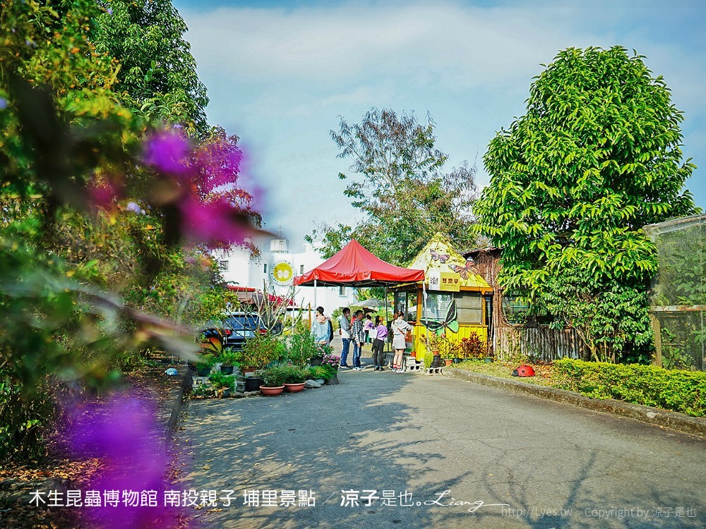 木生昆蟲博物館 南投親子 埔里景點