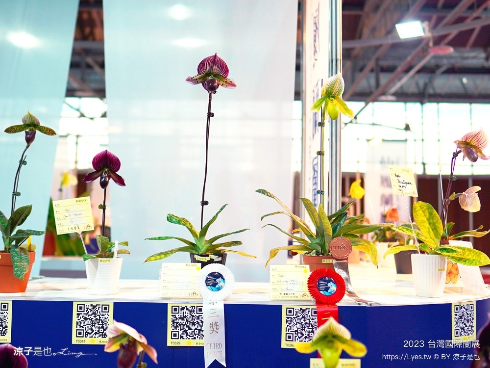 台灣國際蘭展 門票 2023時間 台南景點 魔境 恐龍 親子diy 必看亮點 台南限定蘭花