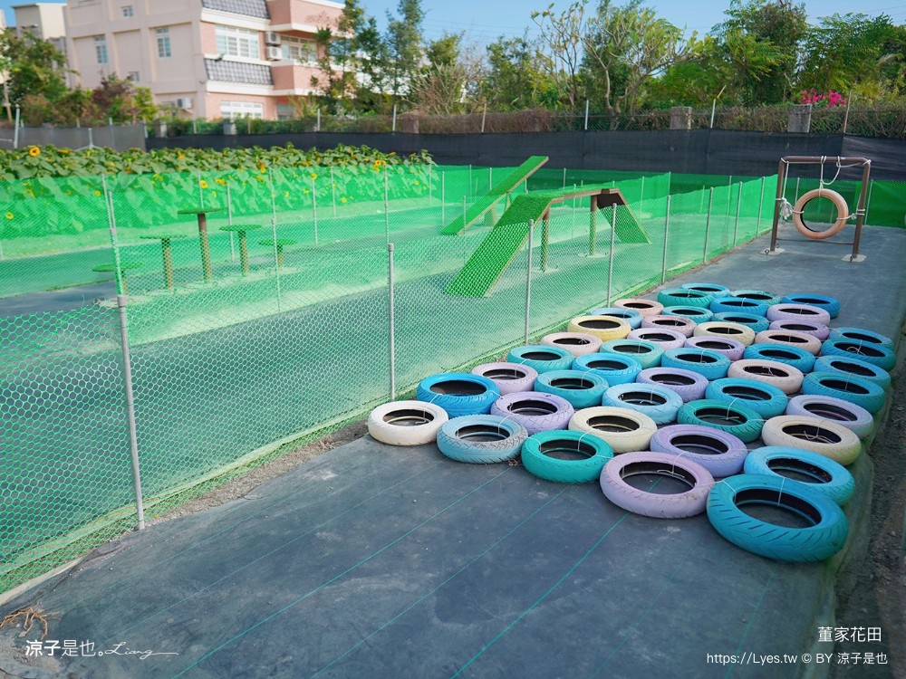 董家花田 菜單 門票 景點 彰化景點 田尾景觀餐廳 花海 戶外野餐 咖啡 交通