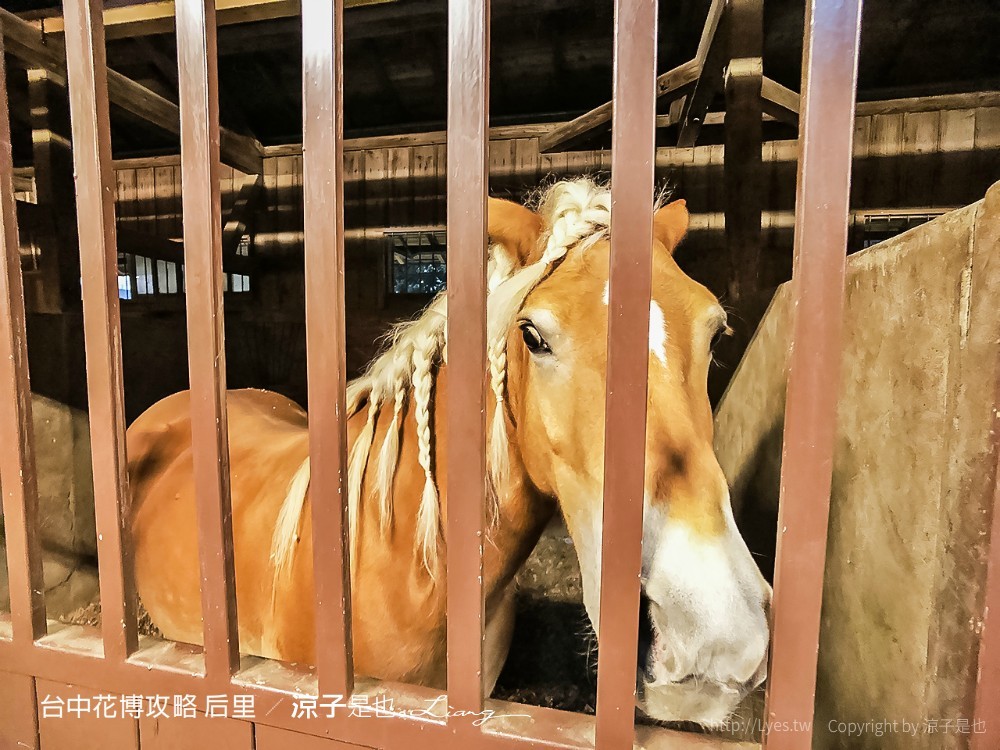 台中花博攻略 后里