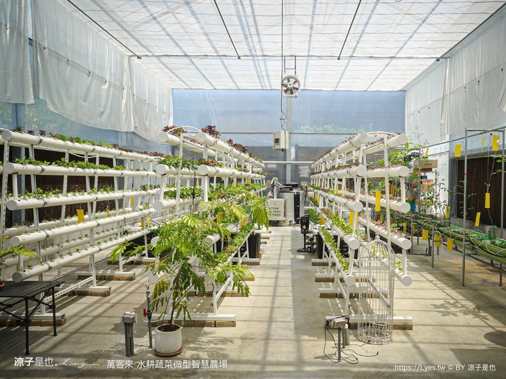 萬客來水耕蔬菜微型智慧農場 菜單 台南餐廳 台南美食 玻璃屋餐廳 台南景觀餐廳 早午餐